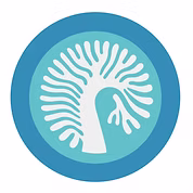 aitutki coral reef restoration eco friendly snorkel tours cook islands mike lee sustainable tourism